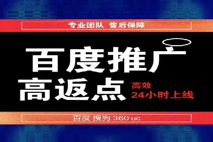 搜索引擎优化（SEO）与竞价广告（SEM）的对比案例